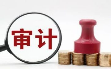 2024年审计处工作总结6篇