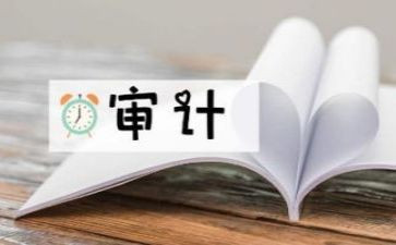 财务审计想工作总结优质6篇