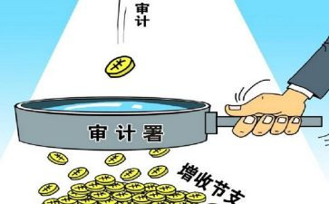年终审计工作总结5篇