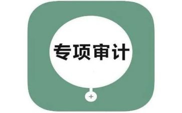 审计组工作总结优质5篇