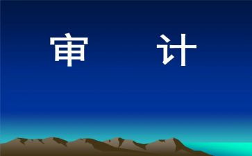 个人工作总结审计优秀6篇
