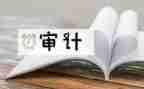 财务审计想工作总结优质6篇