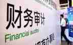 审计个人2024年总结报告6篇