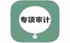 审计组工作总结优质5篇