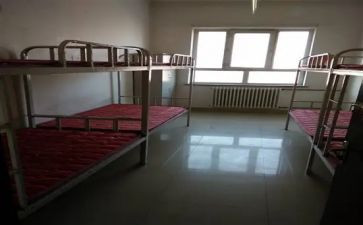 舍务委工作计划5篇