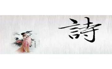 诗经的读后感5篇