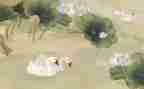 写诗情的作文7篇