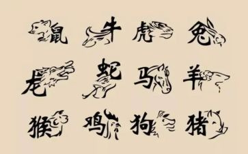 十二生肖大班语言活动教案6篇