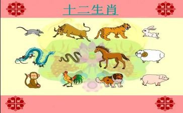 十二生肖社会教案8篇