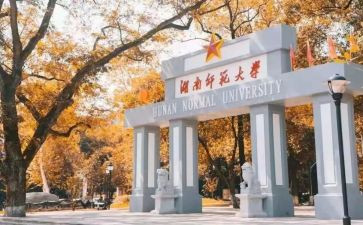 实习师范生心得体会精选7篇