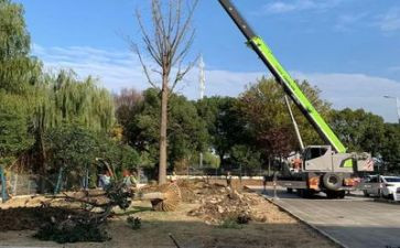 施工个人年终工作总结2023通用5篇