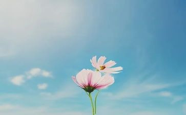 二十年后作文500字作文6篇