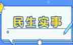 村民生实事工作总结5篇