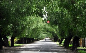 省十四运活动方案8篇