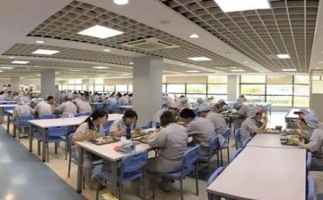 简短食堂工作总结个人8篇