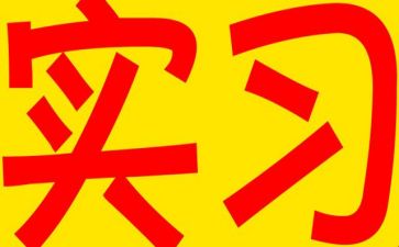 实习报告心得8篇