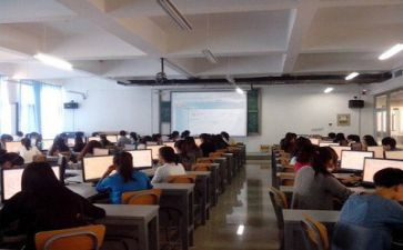 会计实训的心得体会最新6篇