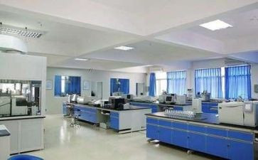 实验作文精选6篇