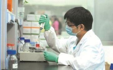 实验作文推荐6篇