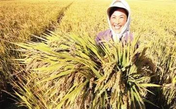 实习的收获和心得6篇