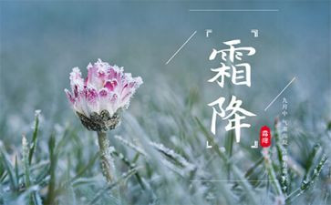 霜降的作文7篇