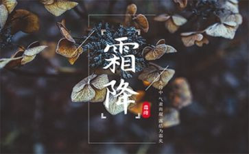 写霜降的作文6篇