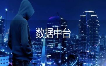 数据化的工作总结5篇