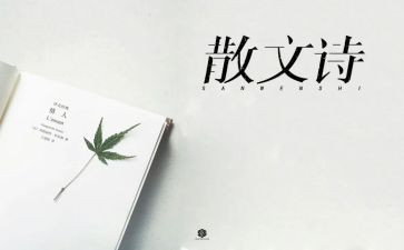 抒情点的演讲稿5篇