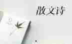抒情点的演讲稿5篇