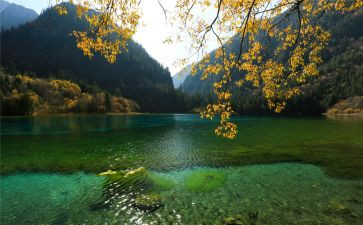 四川消防员事迹7篇