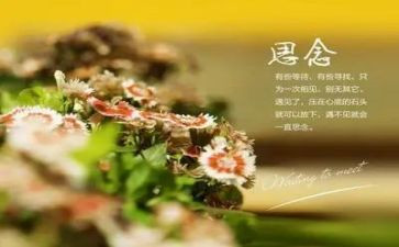 我思念家乡的作文优秀7篇
