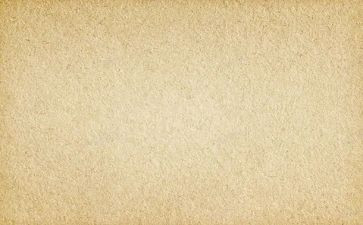 《作文素材》作文800字优秀5篇