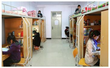 写关于宿舍的作文8篇