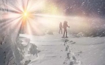 雪或探险读后感5篇