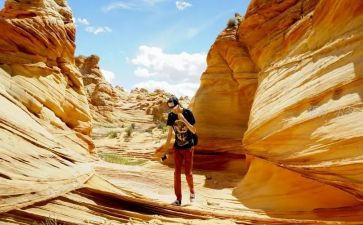 去丛林探险作文通用5篇