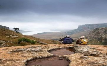 去丛林探险作文8篇