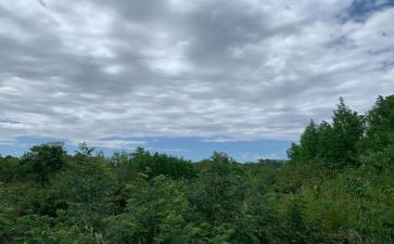 谈天气的教案6篇