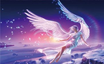 天使梦作文精选5篇