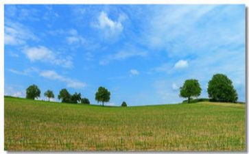 在田野上作文通用5篇