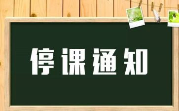 停课不停学线上教学总结7篇