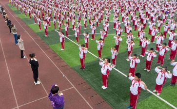 幼儿园幼儿体育活动教案最新6篇