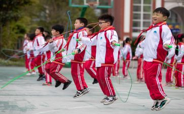 小学体育活动方案活动方案5篇