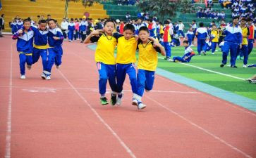 幼儿园大班体育活动教案5篇