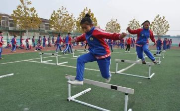 小学体育活动方案活动方案参考8篇