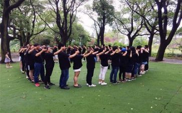 团建的活动方案优质5篇
