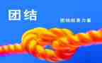 团结与合作演讲稿7篇