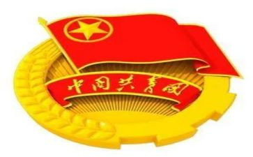 大学生个人分团委工作总结5篇