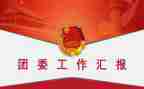大学副团委工作计划6篇