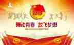 学校团委工作个人工作总结8篇