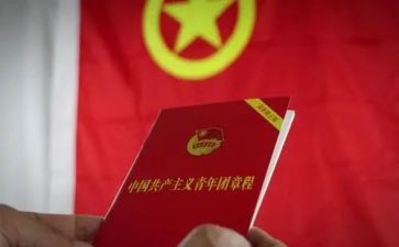 看团章的心得体会8篇